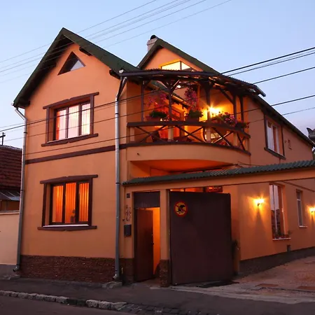 Maison d'hôtes Pensiunea Hanna