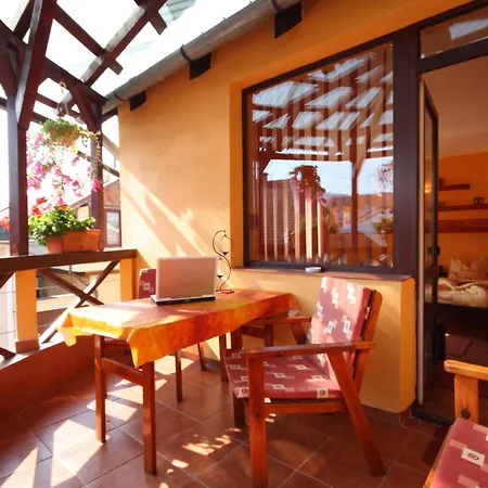 Guest house Pensiunea Hanna Brasov