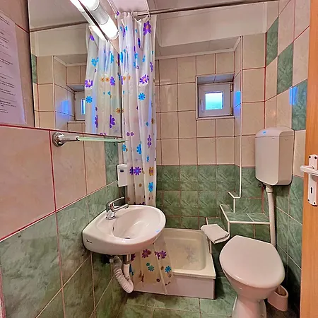 Guest house Pensiunea Hanna