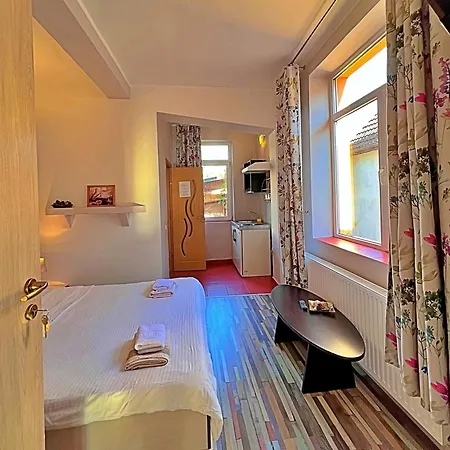 Guest house Pensiunea Hanna 2*