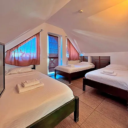 Guest house Pensiunea Hanna Brasov