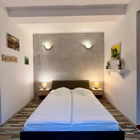 Pensiunea Hanna Maison d'hôtes 2*