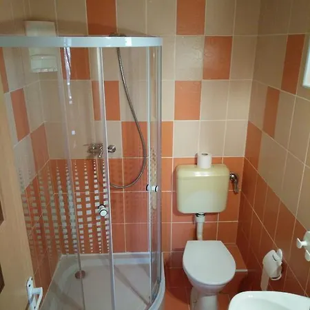 Guest house Pensiunea Hanna