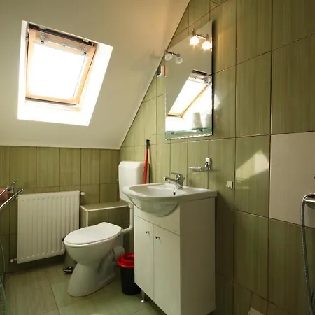 Pensiunea Hanna Maison d'hôtes Braşov