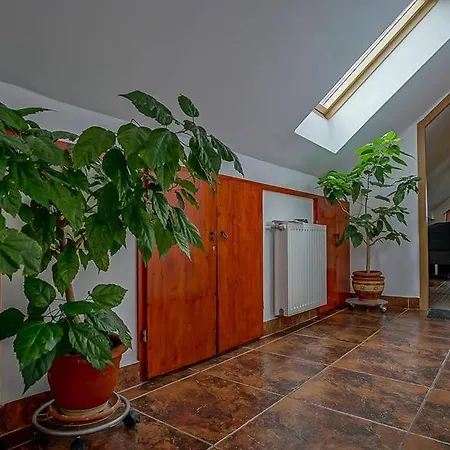 Maison d'hôtes Pensiunea Hanna Braşov