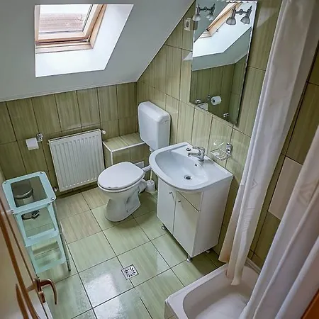 Pensiunea Hanna Maison d'hôtes Braşov