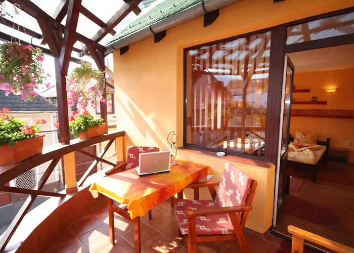 Pensiunea Hanna Brasov