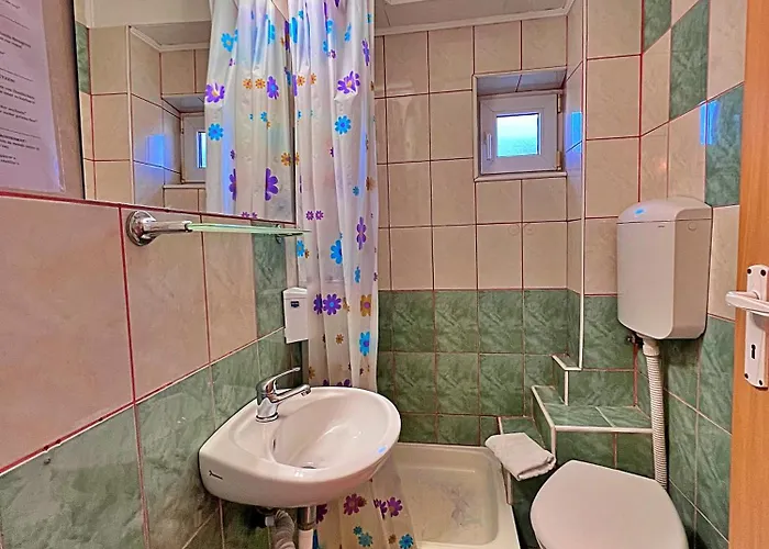 Guest house Pensiunea Hanna