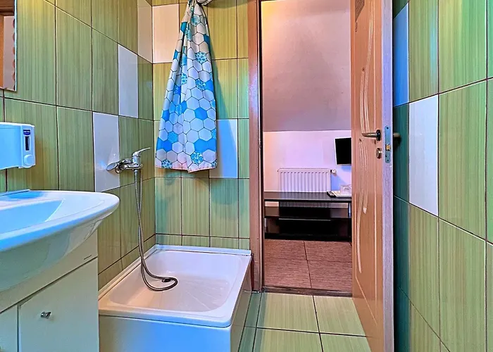 Pensiunea Hanna Guest house 2*