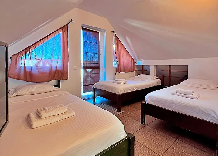 Guest house Pensiunea Hanna Brasov