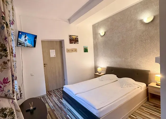 Guest house Pensiunea Hanna