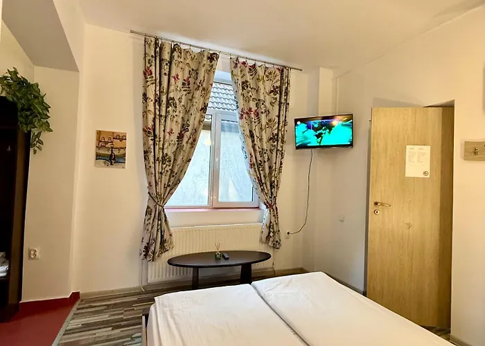 Guest house Pensiunea Hanna