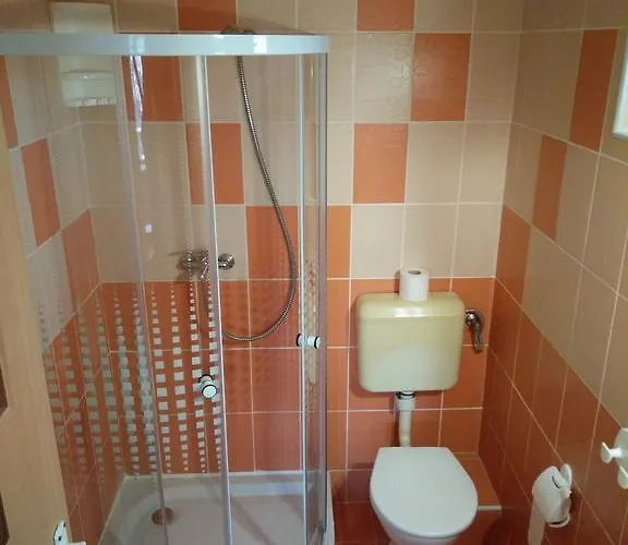 Guest house Pensiunea Hanna