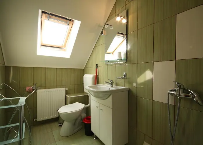 Pensiunea Hanna Guest house Brasov