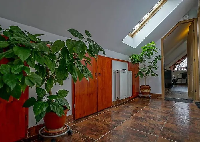 Guest house Pensiunea Hanna Brasov