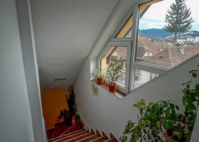 Pensiunea Hanna Guest house 2*