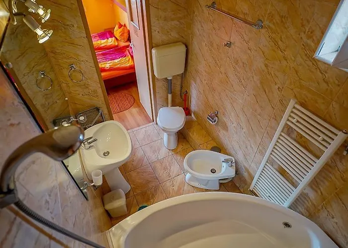 Pensiunea Hanna Guest house 2*