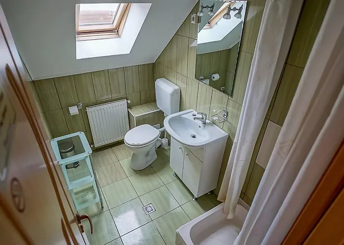 Pensiunea Hanna Guest house Brasov