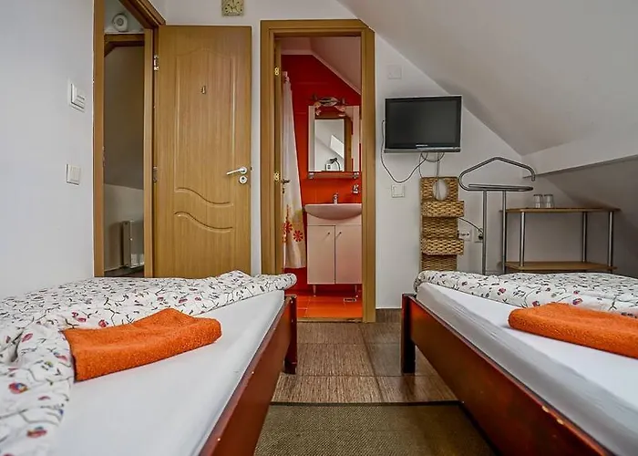 Pensiunea Hanna Guest house